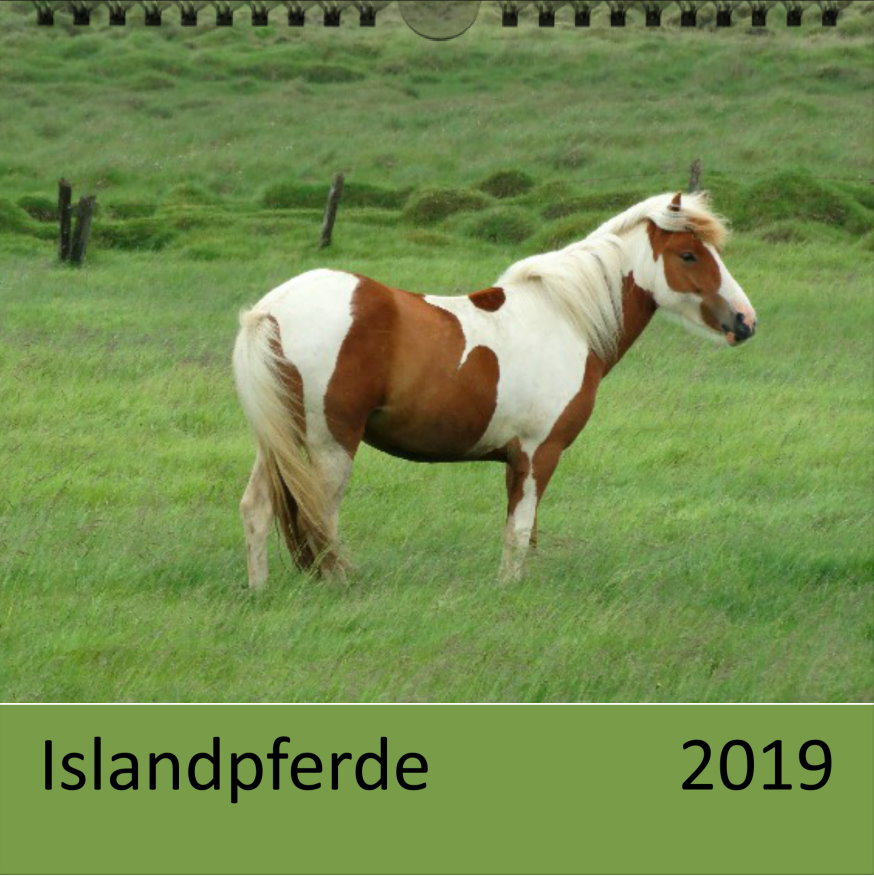 Cover Kalender Islandpferde 2019 - Clever Cover Kalender Islandpferde 2019 - Clever