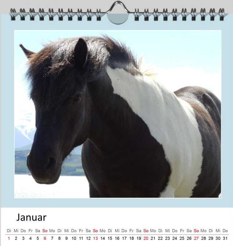 Januar Kalender Islandpferde 2019 - Clever Januar Kalender Islandpferde 2019 - Clever