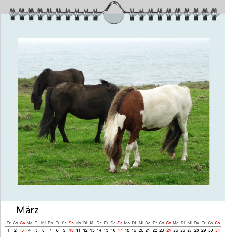 März Kalender Islandpferde 2019 - Clever März Kalender Islandpferde 2019 - Clever