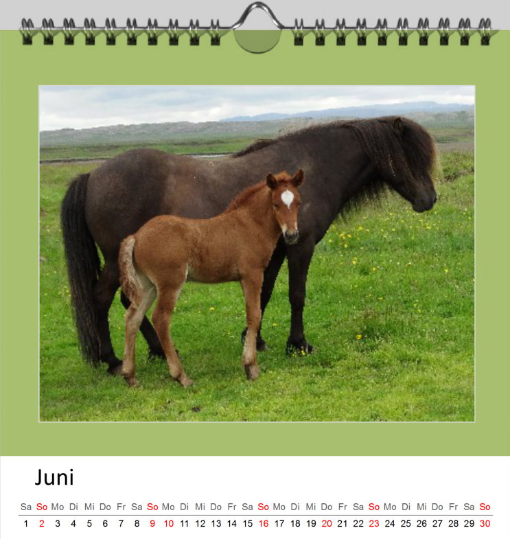 Juni Kalender Islandpferde 2019 - Clever Juni Kalender Islandpferde 2019 - Clever