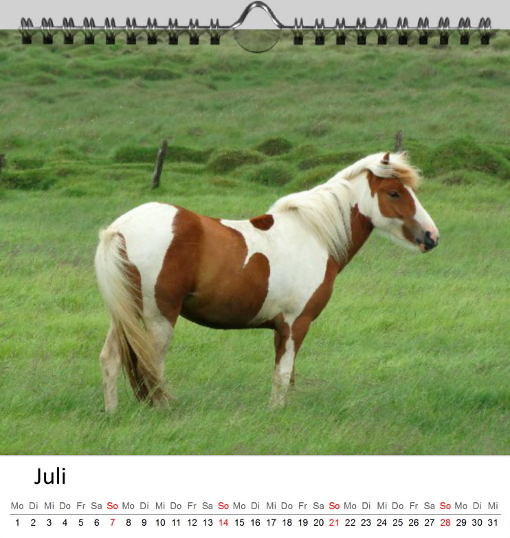 Juli Kalender Islandpferde 2019 - Clever Juli Kalender Islandpferde 2019 - Clever