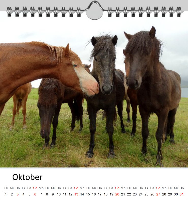 Oktober Kalender Islandpferde 2019 - Clever Oktober Kalender Islandpferde 2019 - Clever