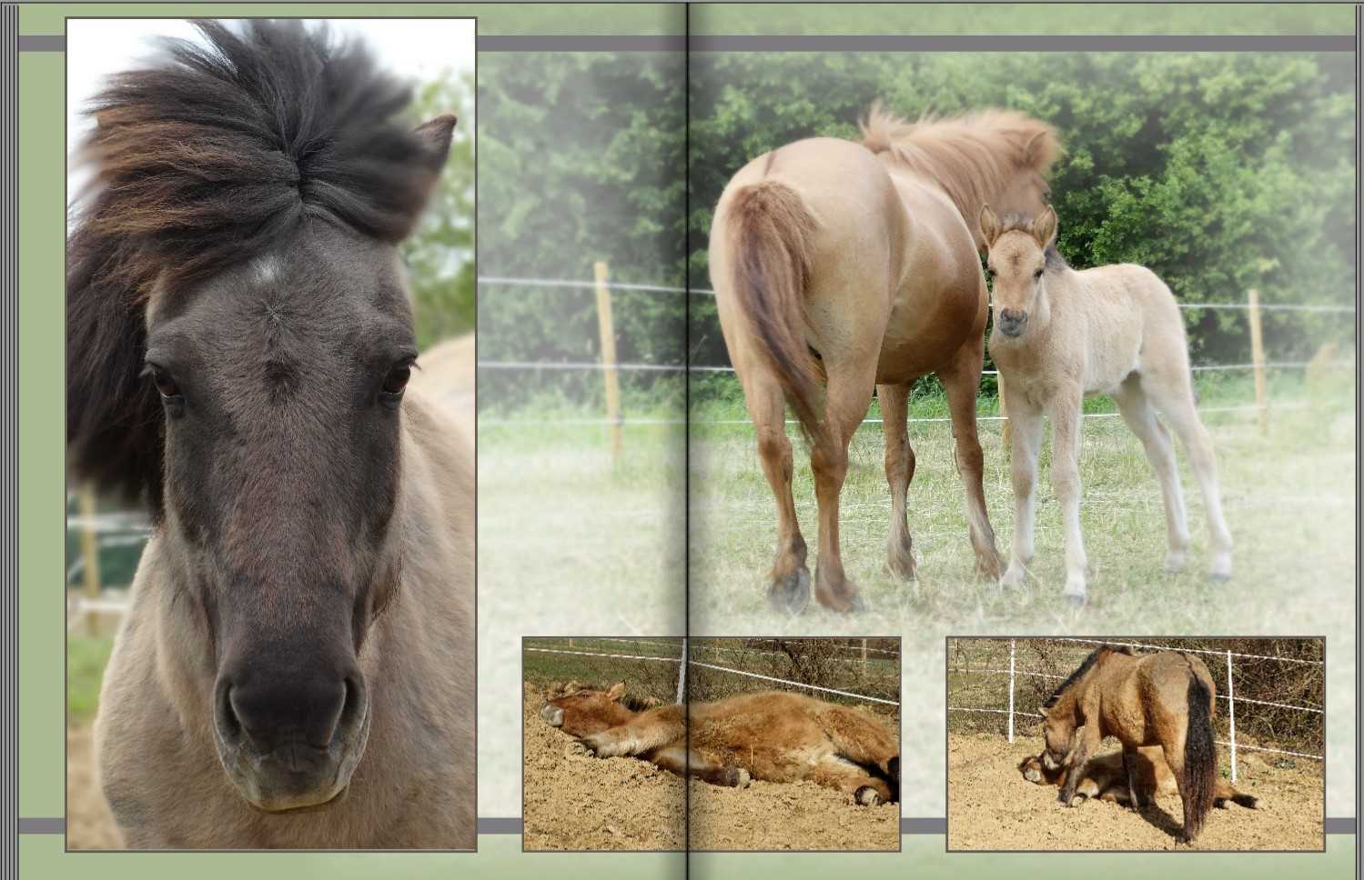 Seite 12 + 13 Musterfotobuch Typ Brilliant Hochformat Seite 12 + 13 des Musterfotobuchs Typ Brilliant Hochformat