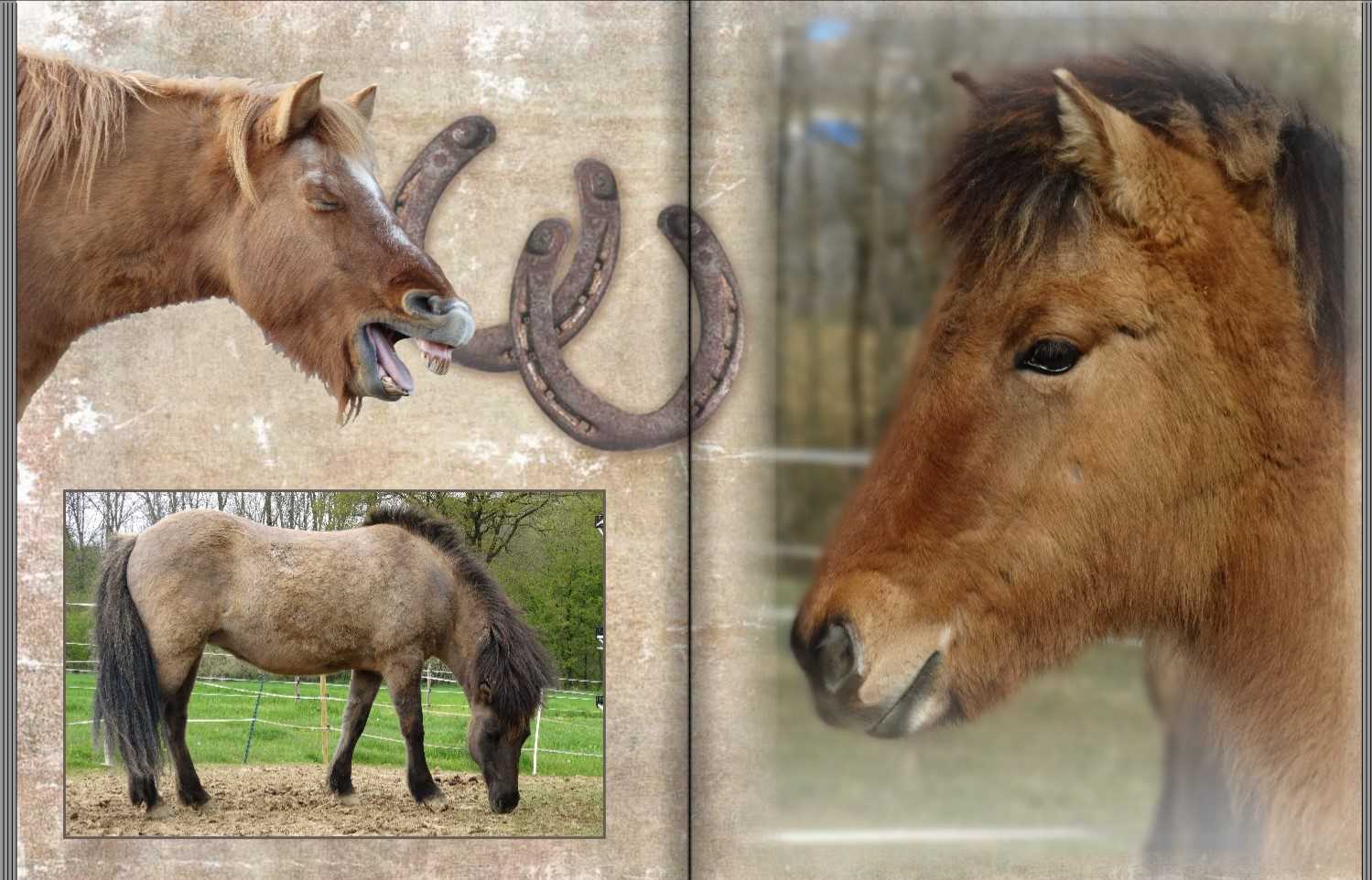 Seite 14 + 15 Musterfotobuchs Typ Brilliant Hochformat Seite 14 + 15 des Musterfotobuchs Typ Brilliant Hochformat