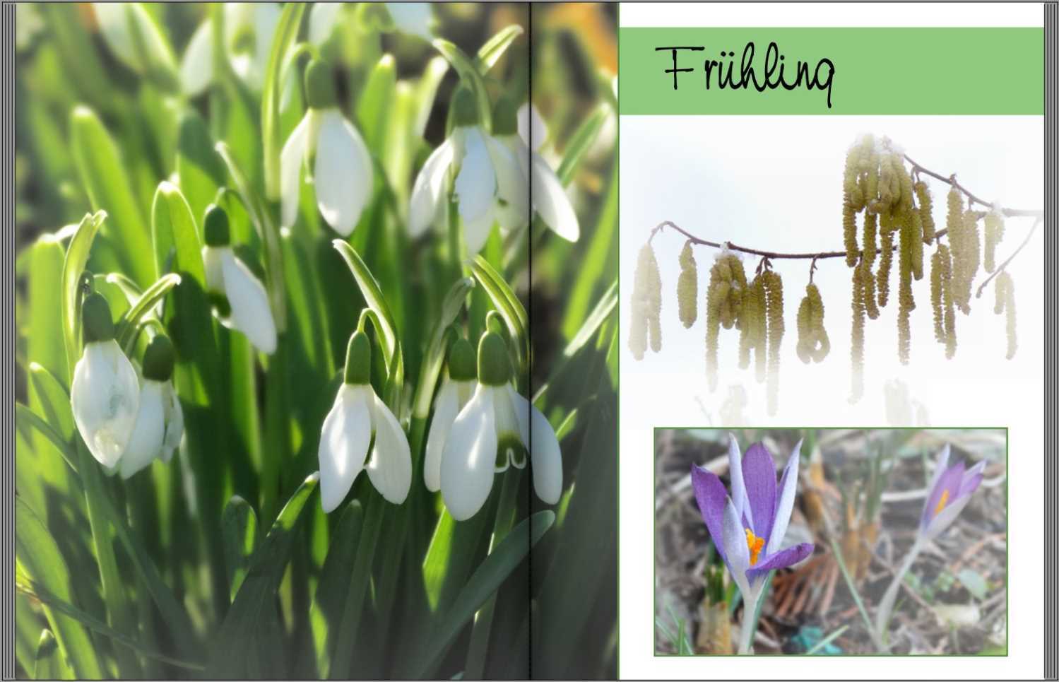 Seite 2 + 3 Musterfotobuch Typ Brilliant Hochformat Seite 2 + 3 des Musterfotobuchs Typ Brilliant Hochformat