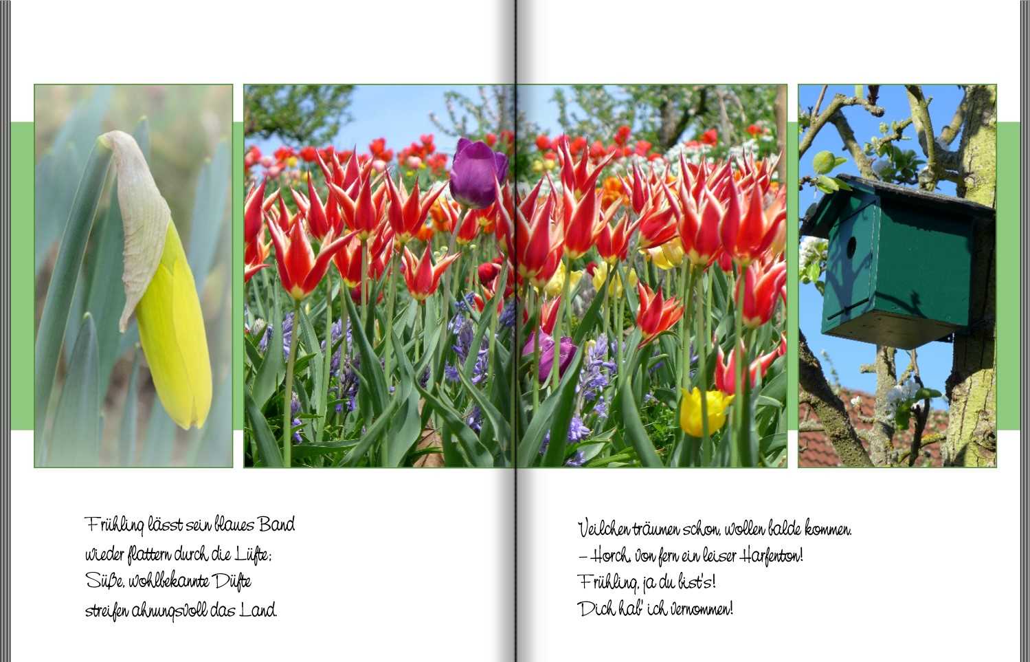 Seite 4 + 5 Musterfotobuch Typ Brilliant Hochformat Seite 4 + 5 des Musterfotobuchs Typ Brilliant Hochformat