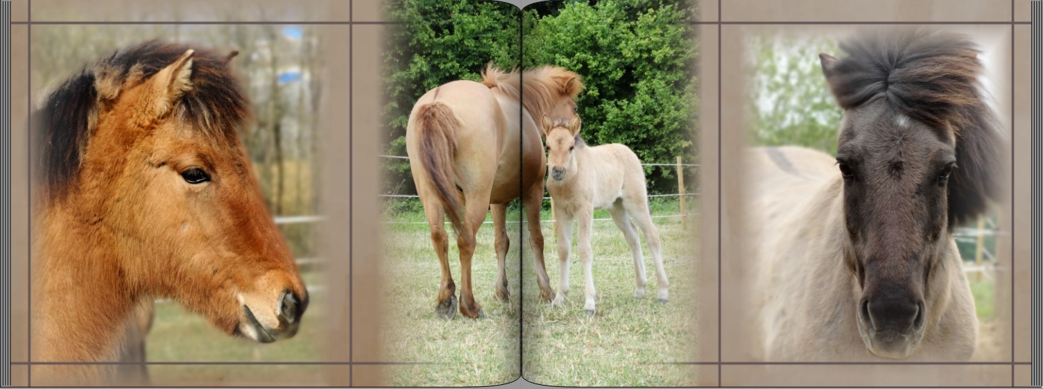 Seite 12 + 13 Musterfotobuch Typ Brilliant Querformat Seite 12 + 13 des Musterfotobuchs Typ Brilliant Querformat