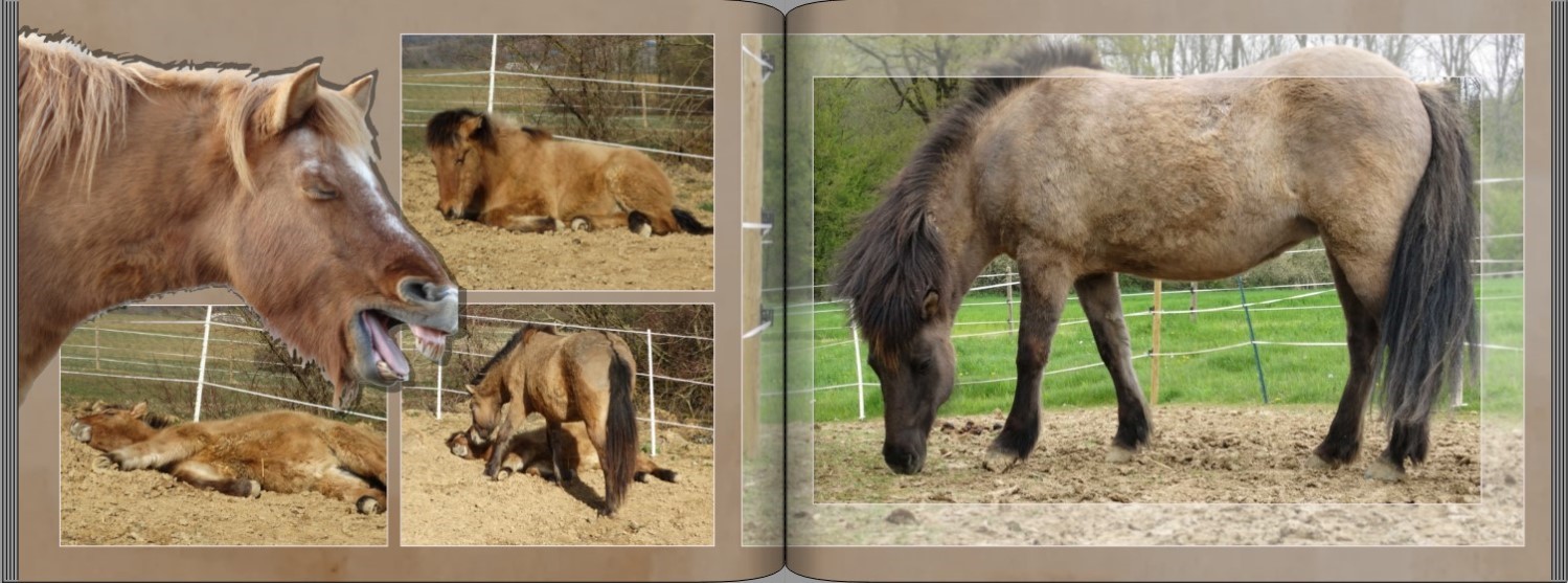 Seite 14 + 15 Musterfotobuch Typ Brilliant Querformat Seite 14 + 15 des Musterfotobuchs Typ Brilliant Querformat