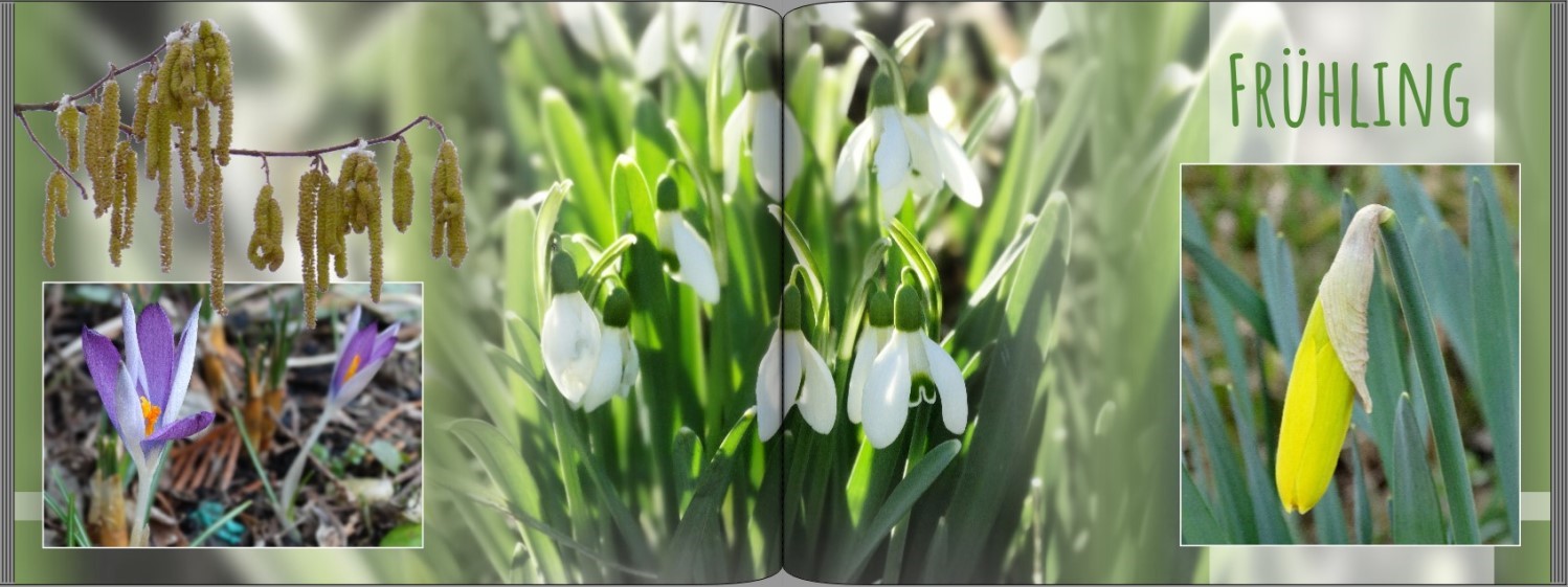 Seite 2 + 3 Musterfotobuch Typ Brilliant Querformat Seite 2 + 3 des Musterfotobuchs Typ Brilliant Querformat