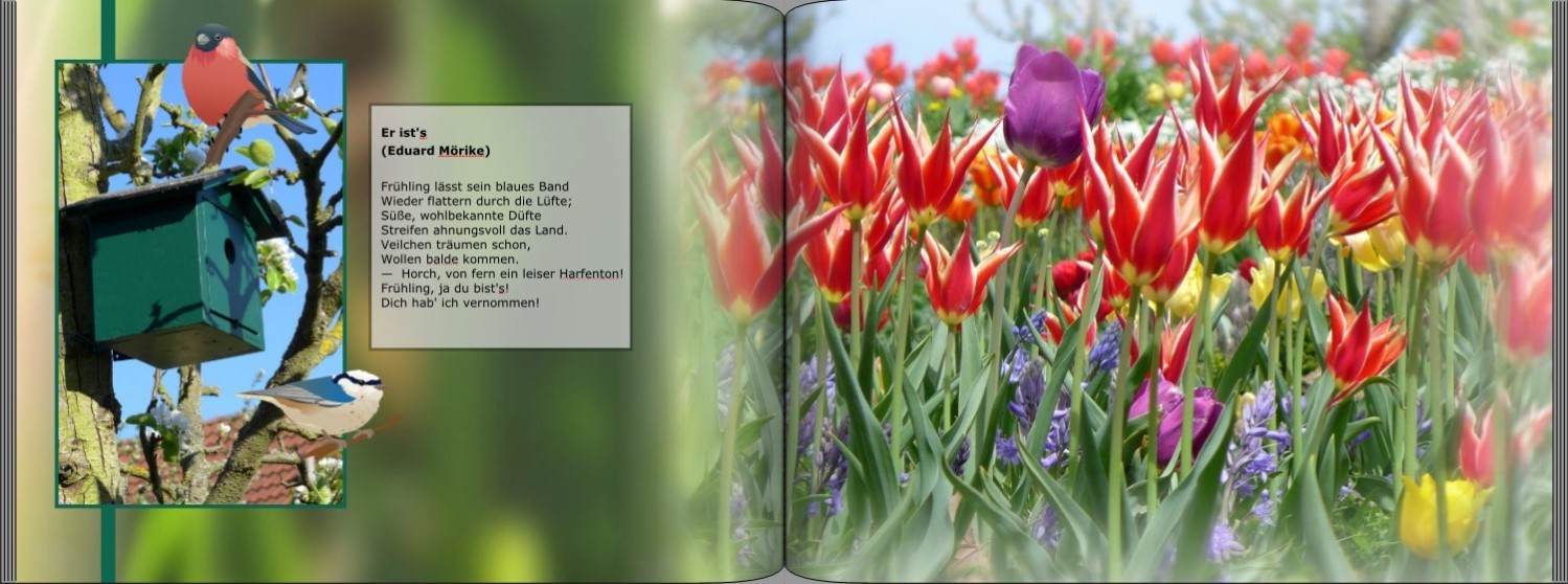 Seite 4 + 5 Musterfotobuch Typ Brilliant Querformat Seite 4 + 5 des Musterfotobuchs Typ Brilliant Querformat